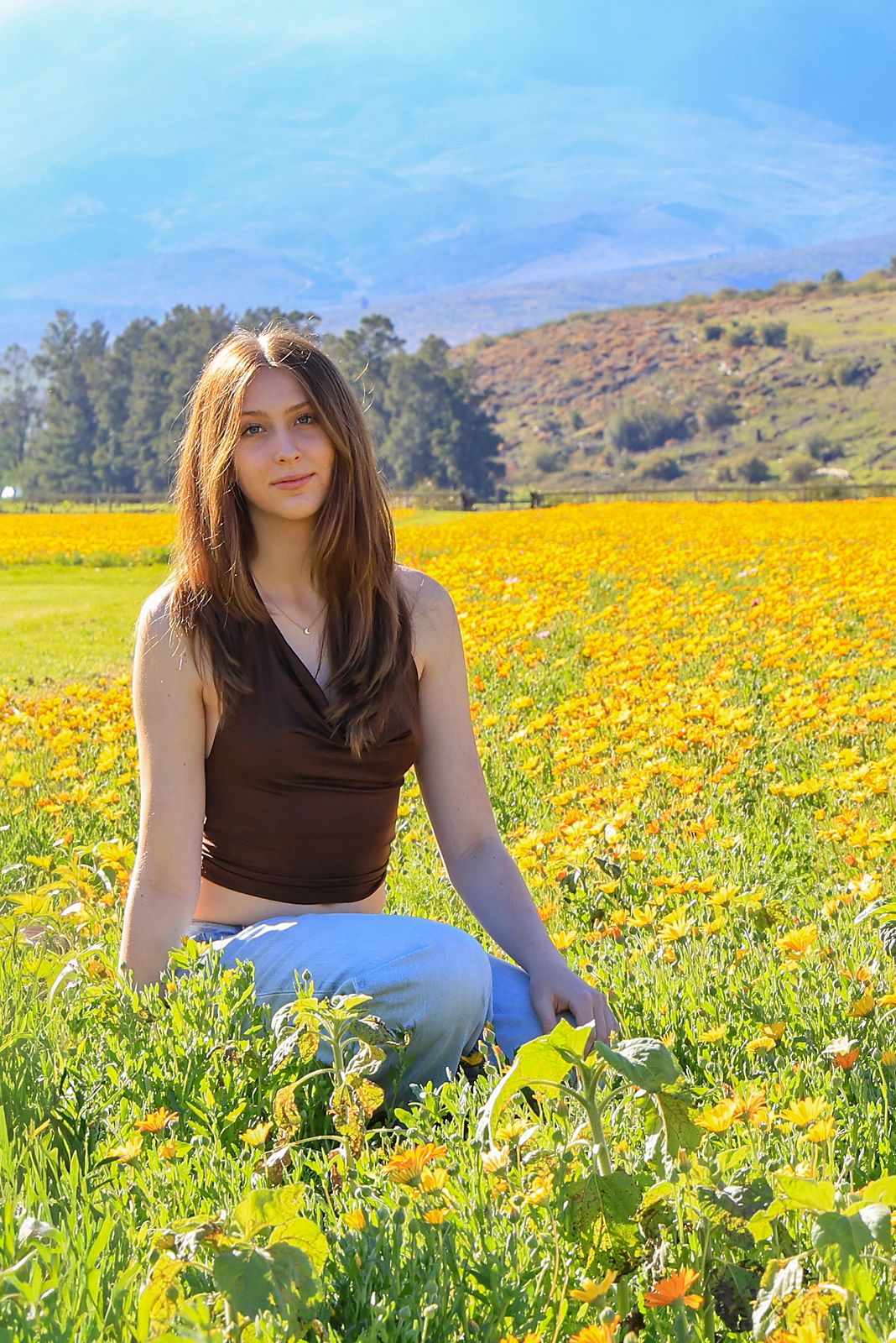Colour, kneeling in a field of yellow flowers with mountains behind